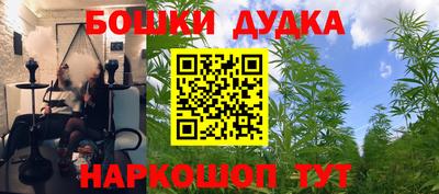 меф Кингисепп
