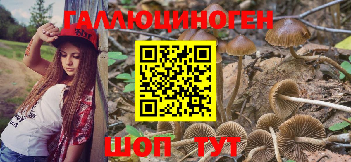 Галлюциногенные грибы прущие грибы  Вход с VPN  Валуйки 